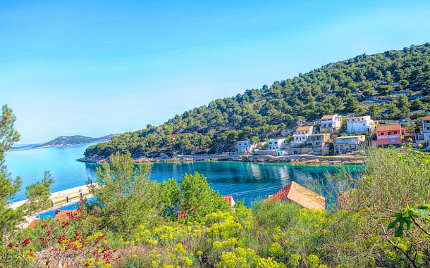 Ptica02, Shutterstock