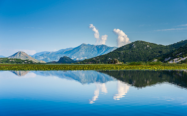 A_Mikhail, Shutterstock