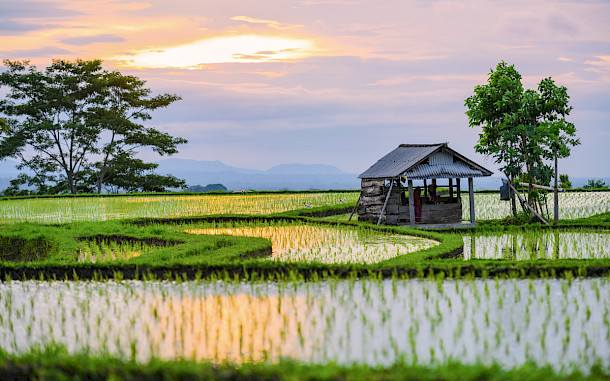 travelwild, Shutterstock