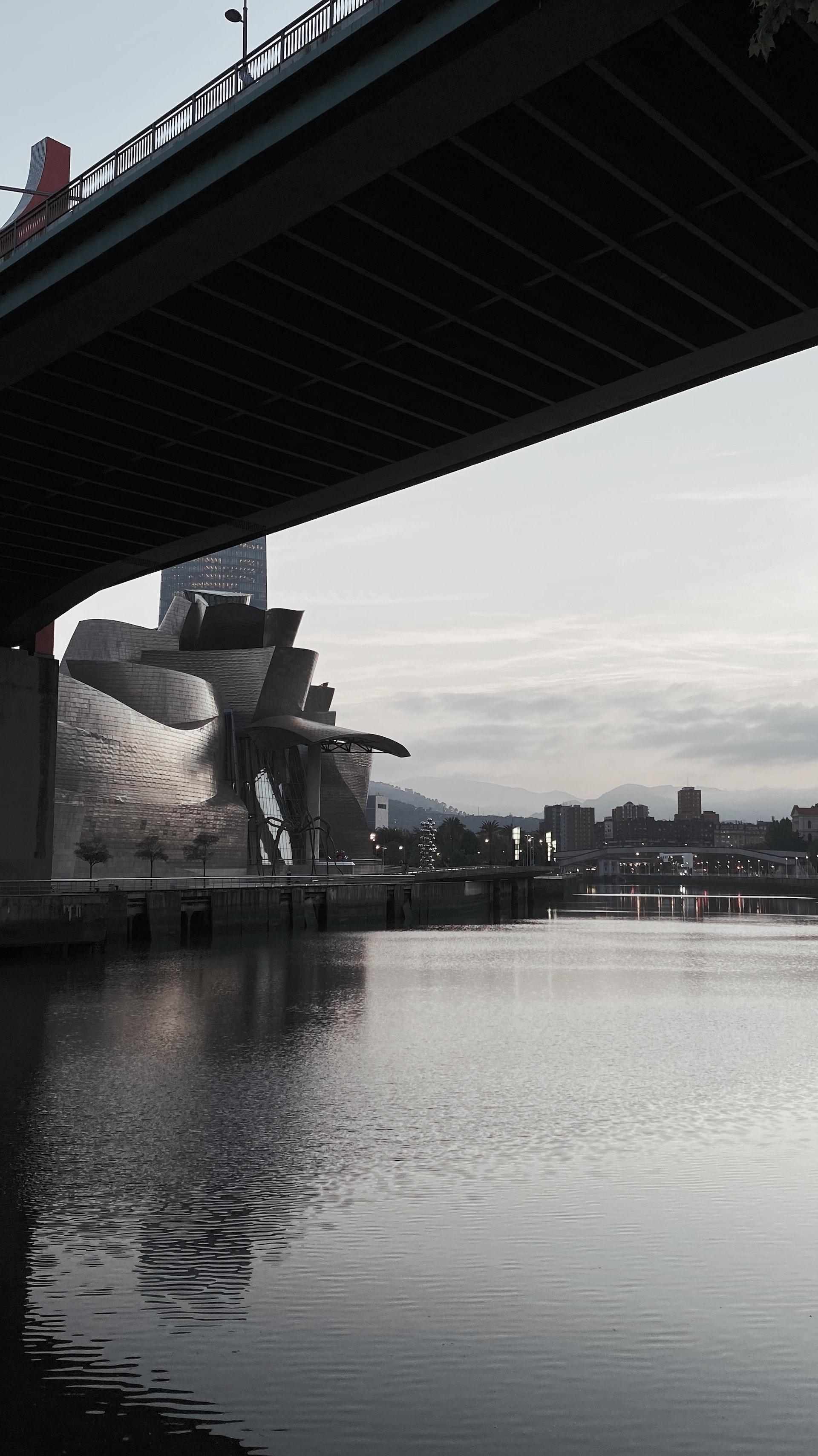 Vízparti látomás: Museo Guggenheim Bilbao