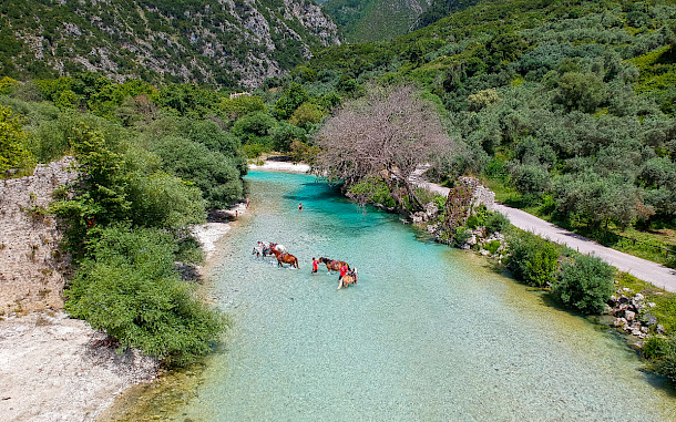 Tassos Stavrou Photograph, Shutterstock