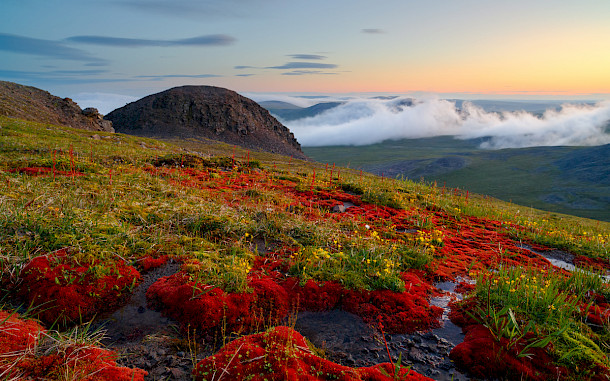 Andrei Stepanov, Shutterstock