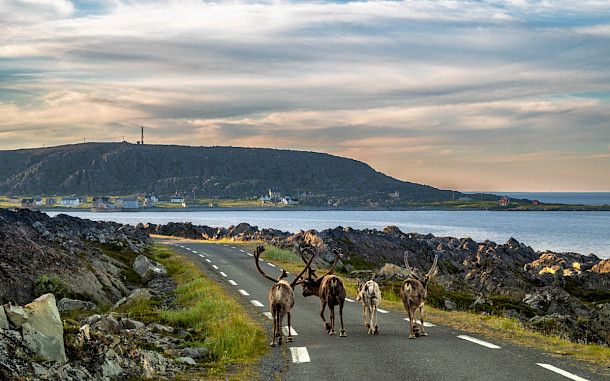 Ihor Kontsurov, Shutterstock