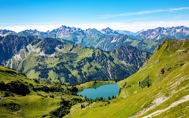 Iryna Shpulak, Shutterstock