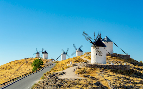 Florian Augustin, Shutterstock