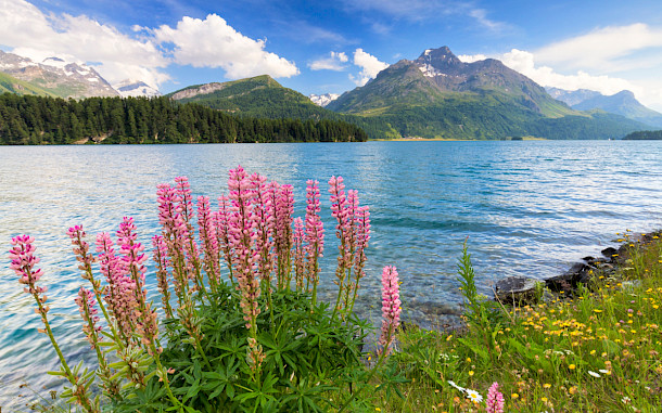 Robert Harding Video, Shutterstock