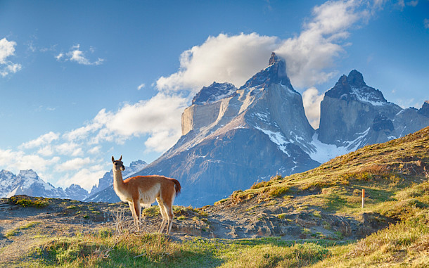 Agnieszka Gaul, Shutterstock