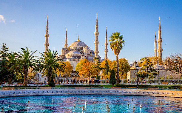 Olena Zn/Shutterstock