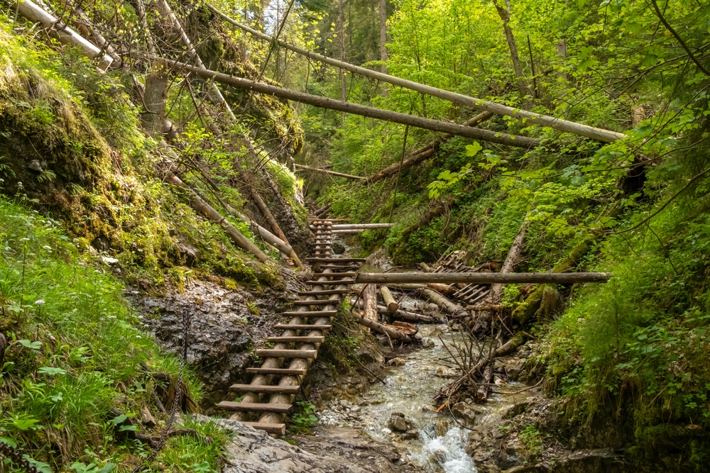 A szomszédban bújik meg ez a létrákkal teli túraparadicsom