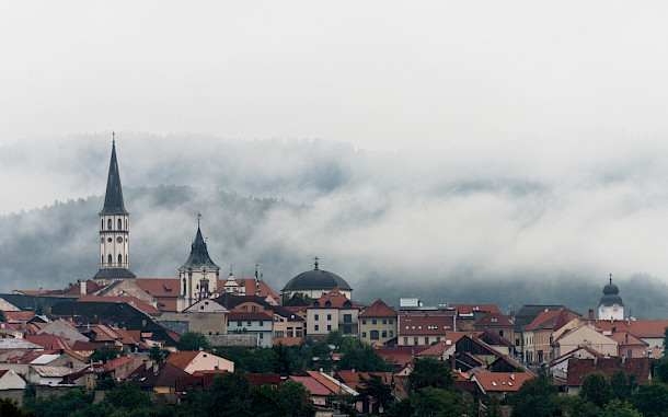 Volodymyr Martyniuk / Shutterstock