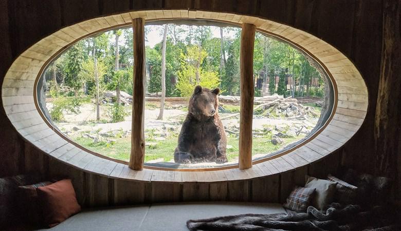 Ez a hotel megnyerhetné a furcsa szállások versenyét