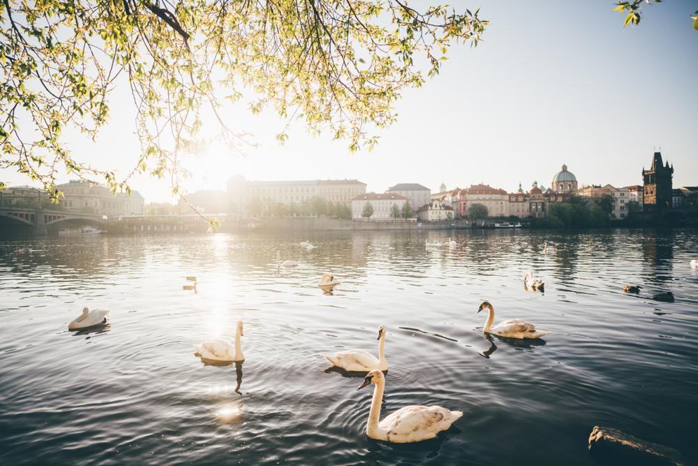 Két különleges nap Prágában, amikor elvegyültünk a helyiek között