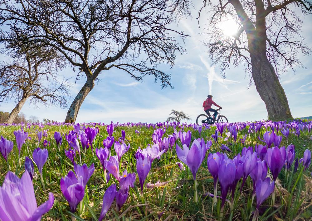 Bringatúrák a négy égtájon